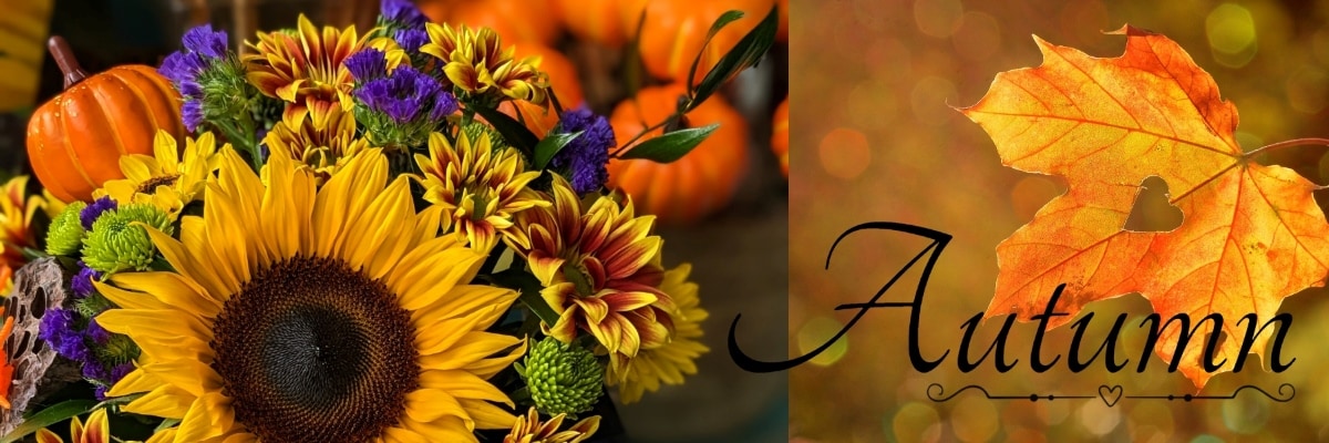 Autumn